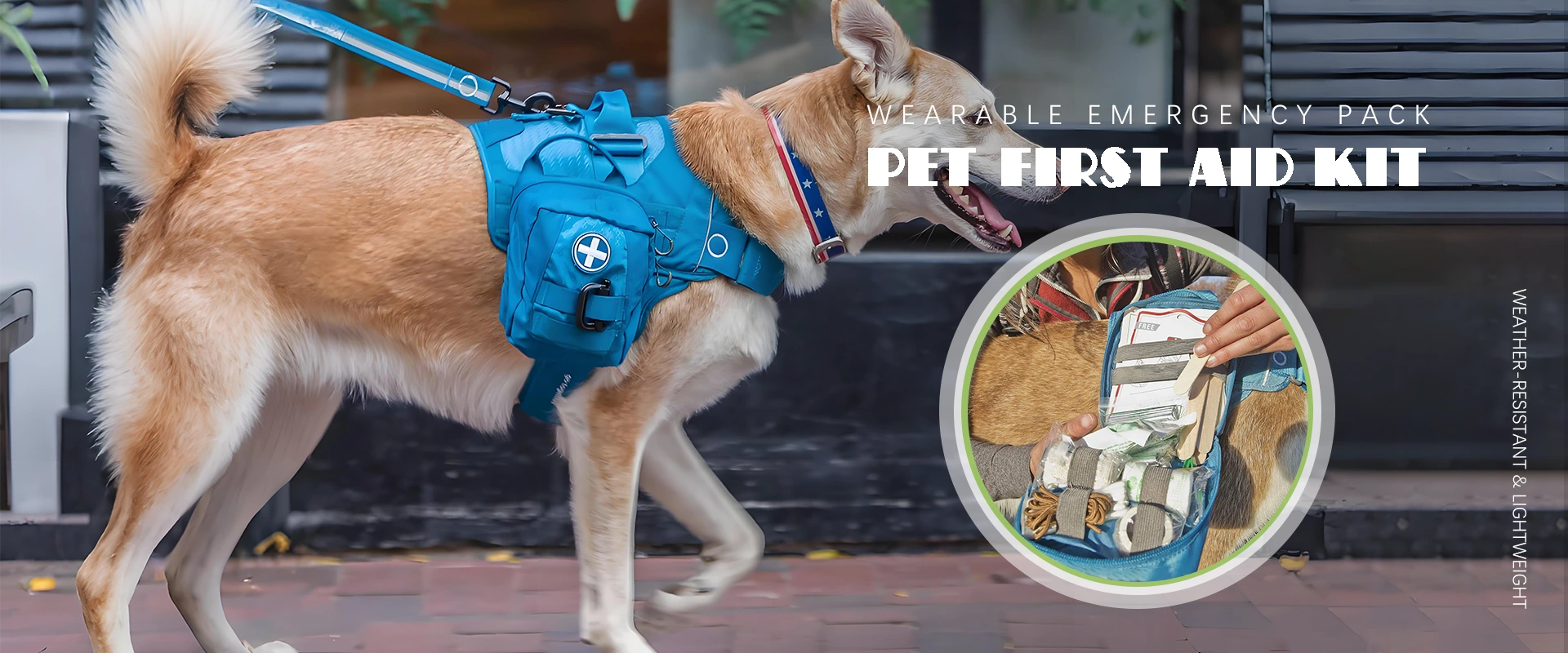 Pet First Aid Kit Manufacturer