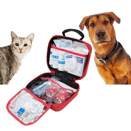 The Ultimate Travel Companion: Why Our EVA Pet Carrier Bag is a Game-Changer for Pet Parents