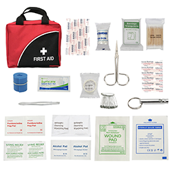 All-in-One Home First Aid Kit