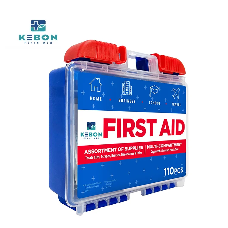 Wall-Mounted First Aid Case